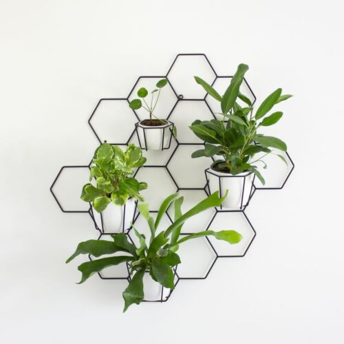 kwietnik-kwietniki-loft-minimalistyczny-BASIC-hexal-design-geometryczny-metalowy-na-sciane-scienny-dekoracyjny-dekoracja-plaster-miodu-honeycomb-doniczki-rosliny-projekt.jpg
