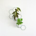 hexal-design-kwietnik-STRELLAR-heksagon-honeycomb-plaster-miodu-sciana-zieleni.jpg