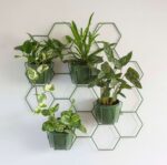 hexal-design-MOSSO-kwietnik-zielony-plaster-miodu-.jpg
