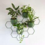 hexal-design-stalowy-zielony-kwietnik-MOSSO-na-sciane-dekoracje-scienne.jpg