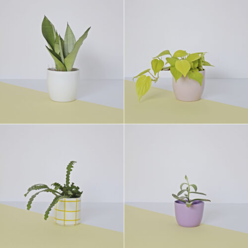 kolorowe doniczki w zestawie, kwietnik stojący uppo, nowoczesny stojak na rośliny, metalowy biały kwietnik